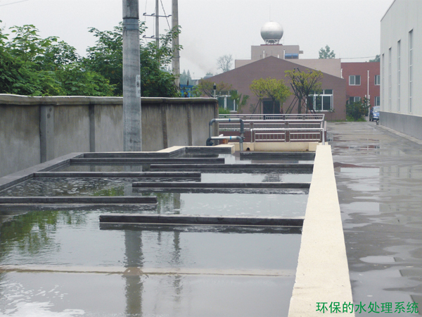 竞博体育app官网入口