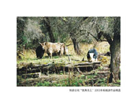 竞博体育app官网入口