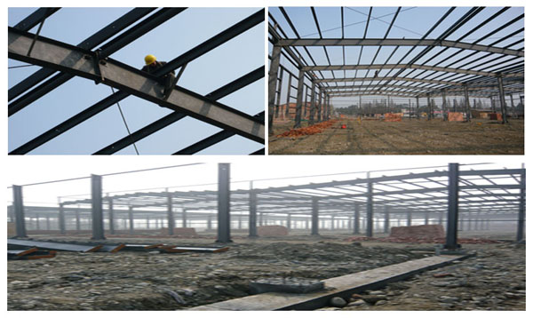 竞博体育app官网入口