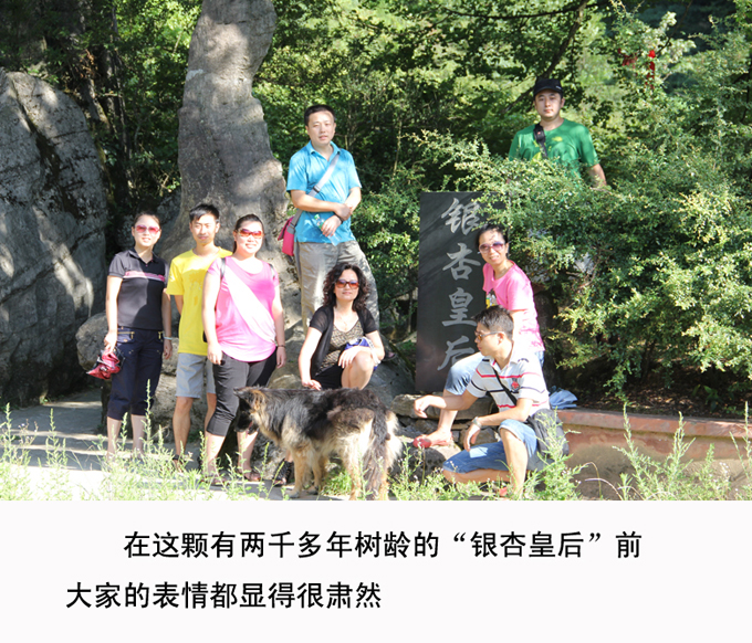 竞博体育app官网入口