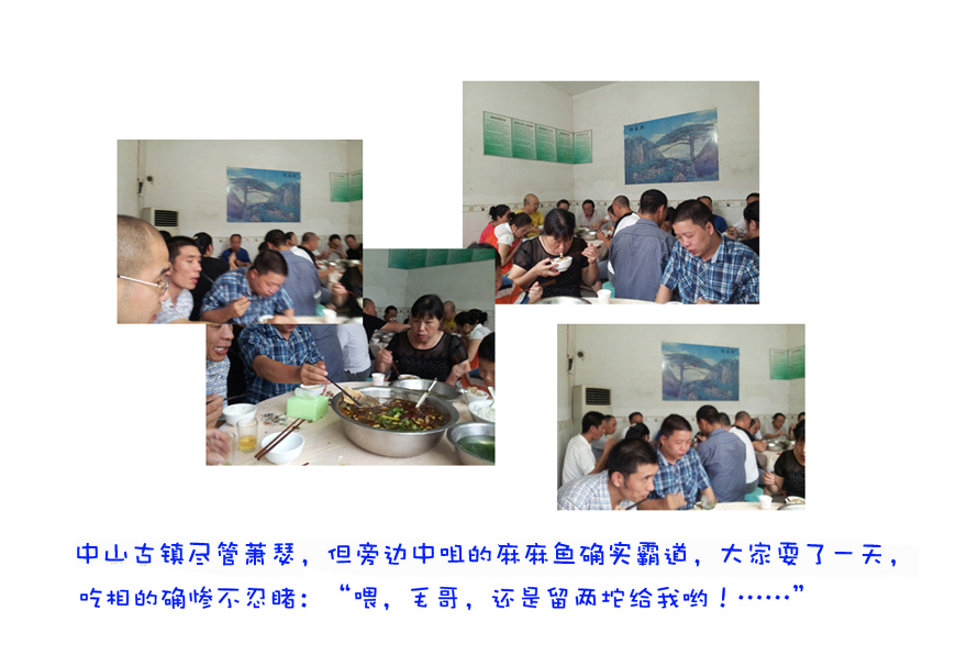 竞博体育app官网入口